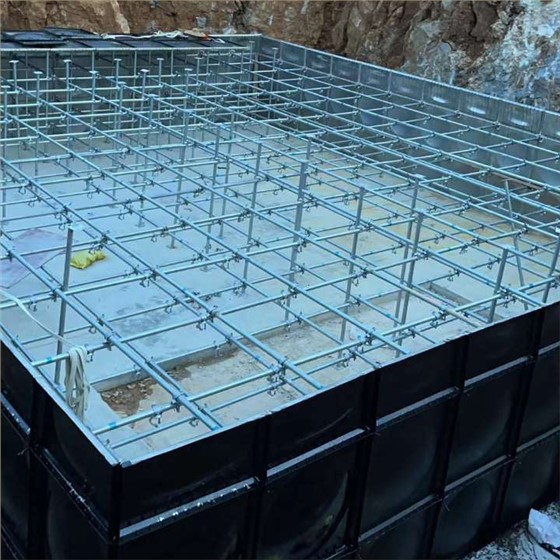 廣西鄉(xiāng)鎮(zhèn)醫(yī)院水箱