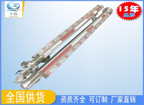 側(cè)立式磁翻板液位計