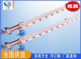 遠(yuǎn)傳式磁翻板液位計(jì)